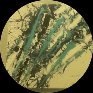 Meet your Posher, Finch